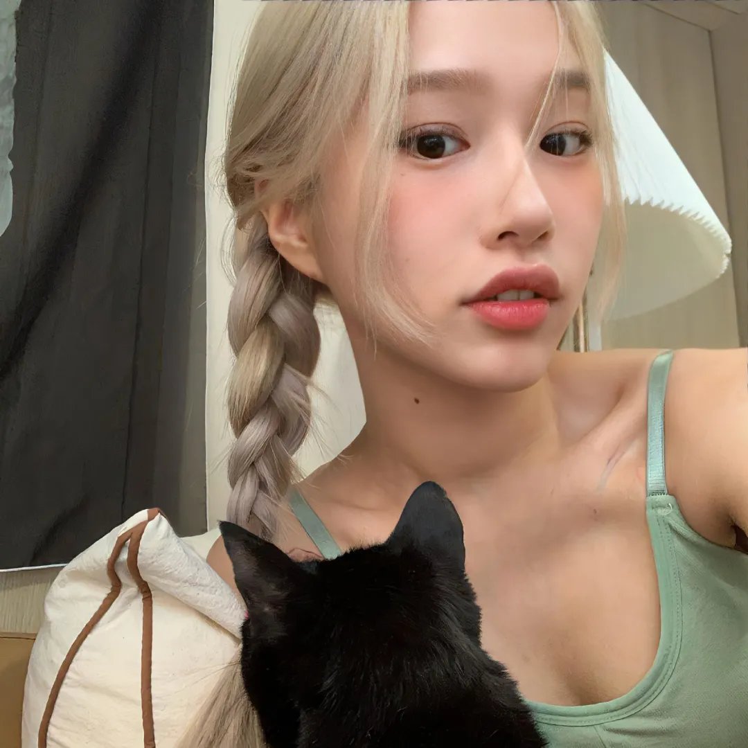 偷懒的猫