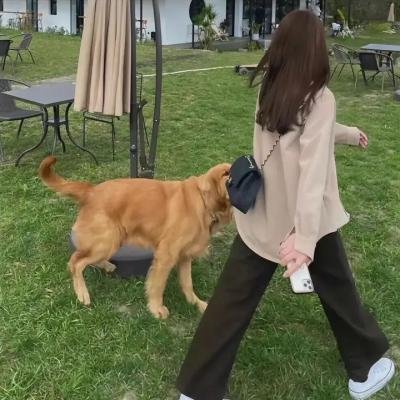 张震讲故事